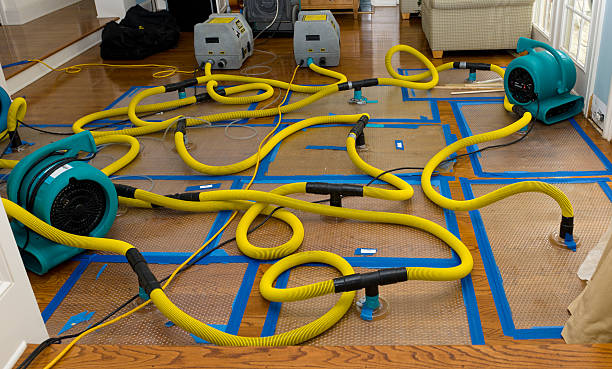 Professional Basement Flood Cleanup technician working in Brandon, MS